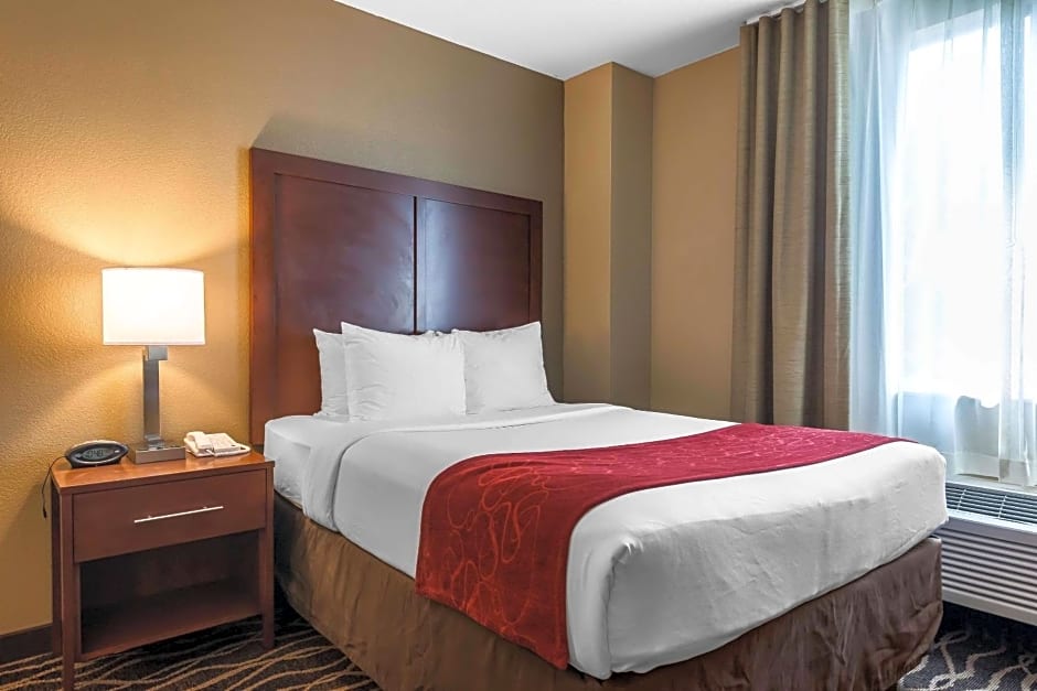 Comfort Suites Tampa Airport North