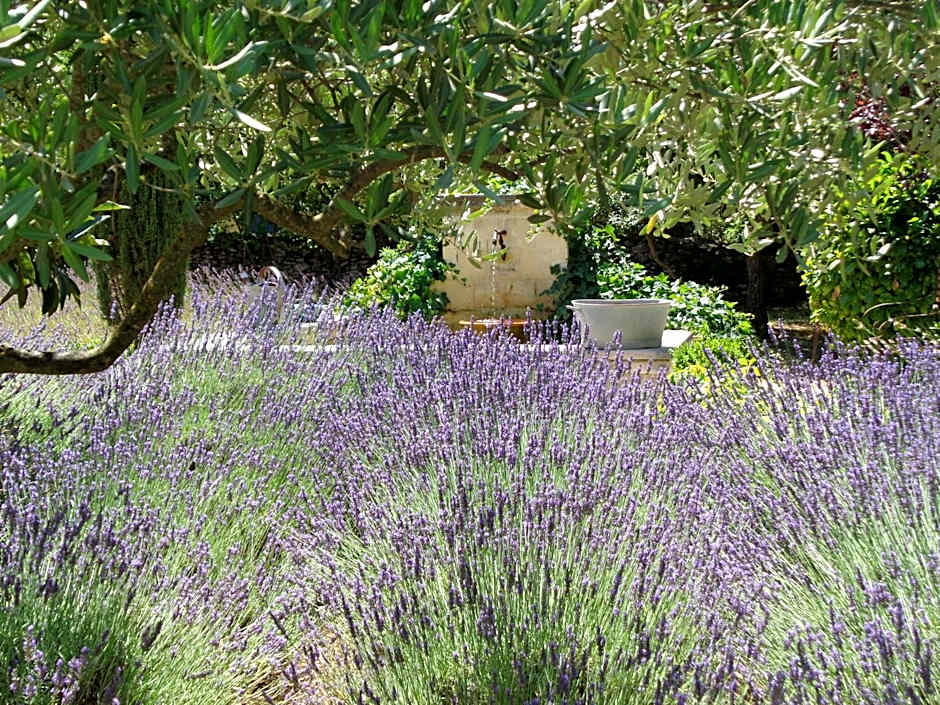 Clos des Lavandes - Chambres et Suites de charme climatisées-Luberon