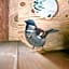 Bird House