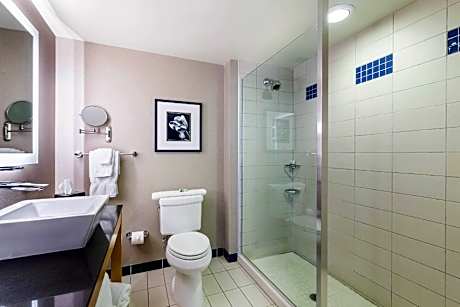 1 King Bed, Suite, Nonsmoking