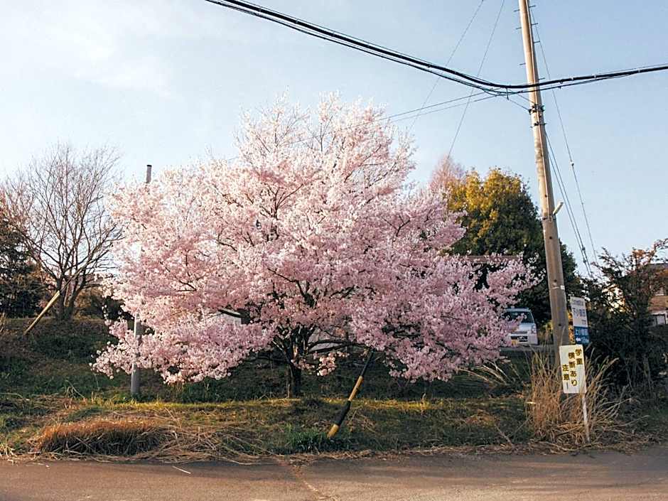 LA TERRA NAGANOーVacation STAY 96079v