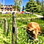 Hotel Monte Baldo