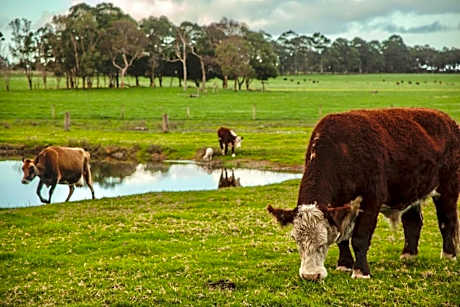 Discovery Parks Margaret River