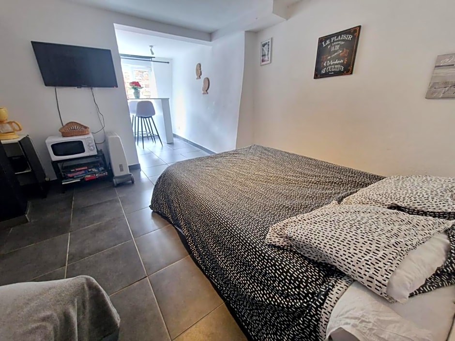 Le camélia de la mazarié