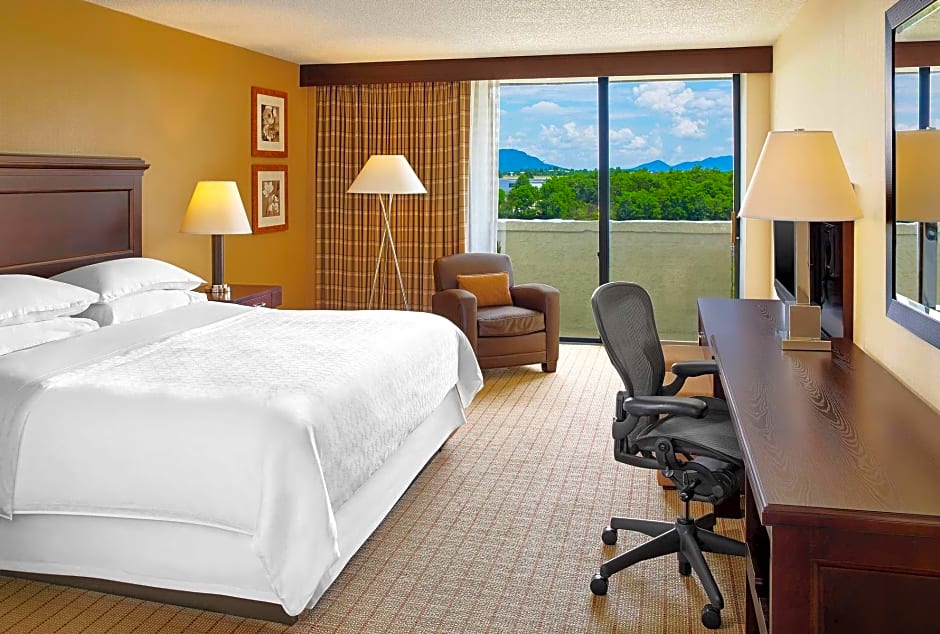 Blue Ridge Hotel and Conference Center – Roanoke, VA