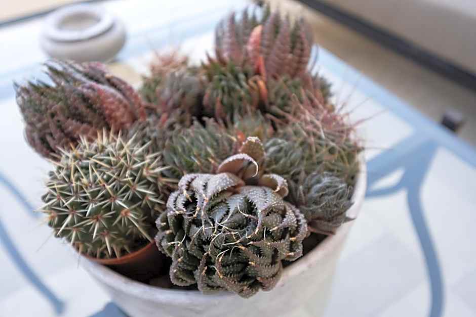 Abalto Suites & Rooms