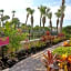 La Fiesta Ocean Inn And Suites