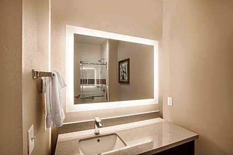 Executive King Room with Sofa Bed