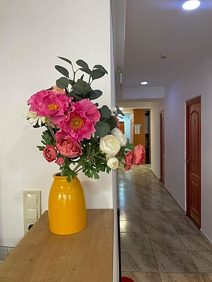 Center Hostel and Guest House