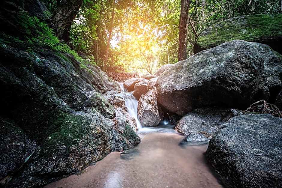 It my life cafe x camp