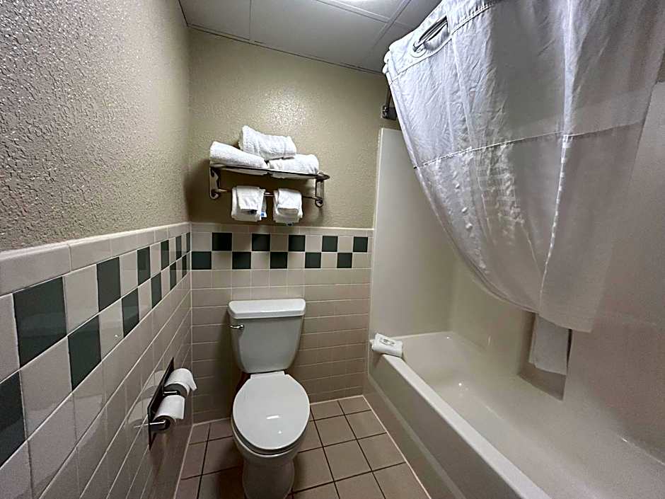 MountainView Lodge and Suites