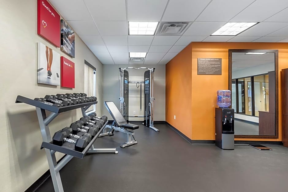 Comfort Inn & Suites Schenectady - Scotia