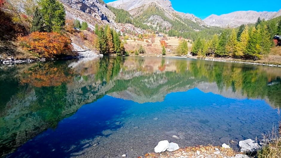 Les marmottes d Estenc