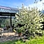 Da La Babi B&B