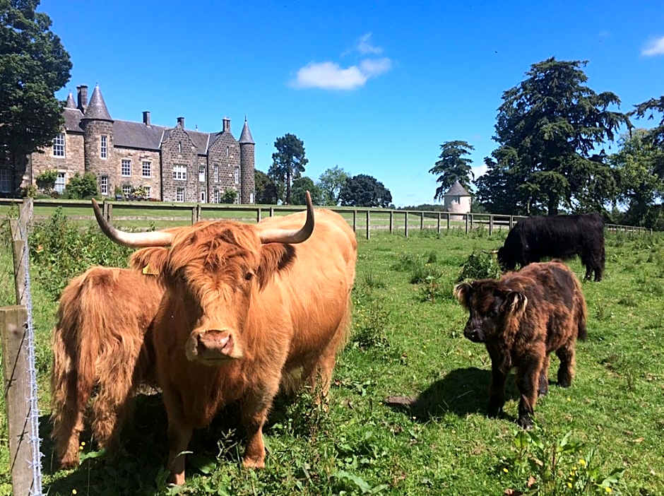 Meldrum House Hotel Golf And Country Estate