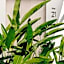 Good Hotel Antigua Guatemala, a Member of Design Hotels
