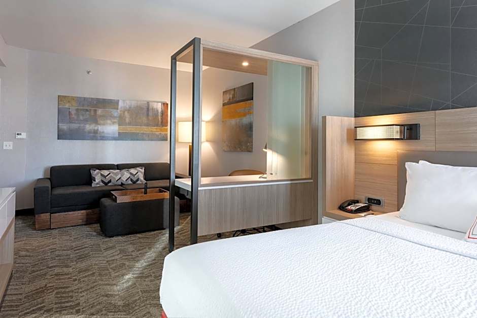 SpringHill Suites by Marriott Chattanooga South/Ringgold