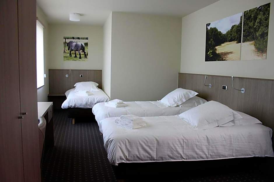 Hotel Otus