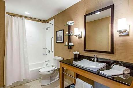 1 King Bed Suite Non-Smoking