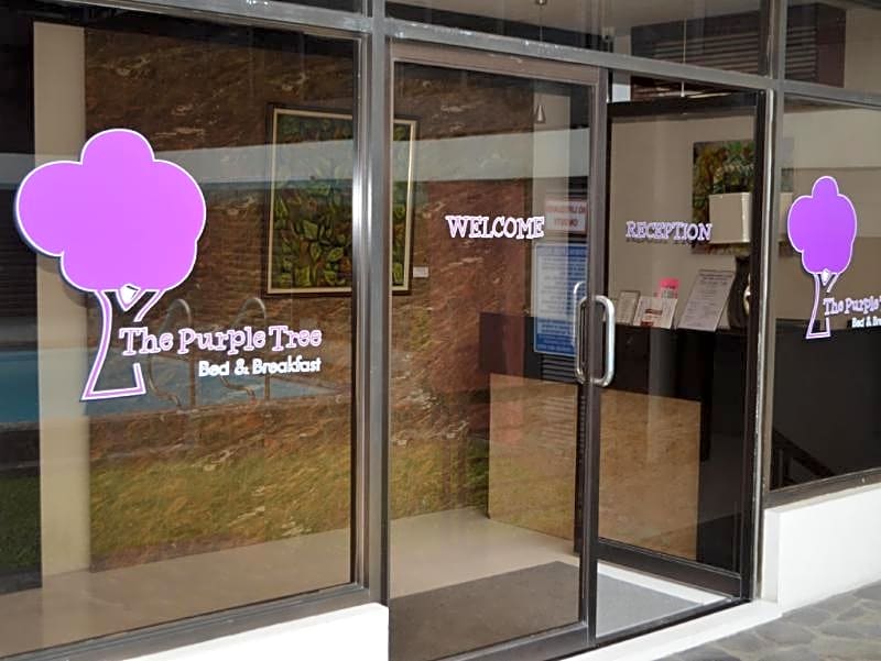 Purple Tree Bed and Breakfast