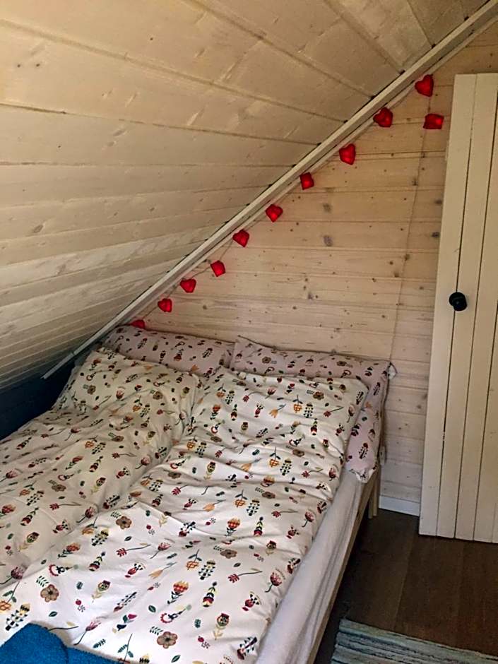 Domki nad morzem Sasino Mojo Miodno Checz