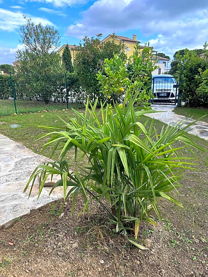 Casa Antia, nuovo bilocale con giardino in Residence con piscina