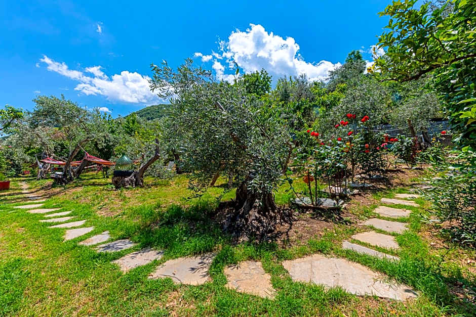 SunRiseStudiosPapanero