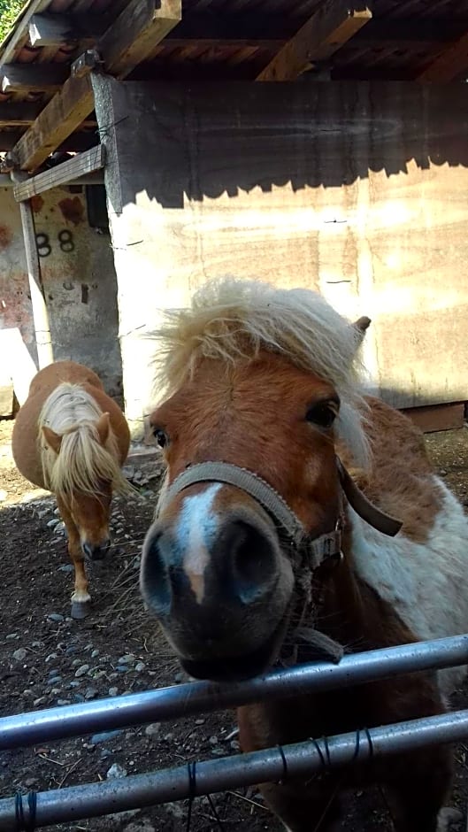 Bed & Breakfast Varionda