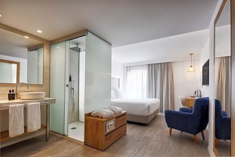 Deluxe double room with terrace