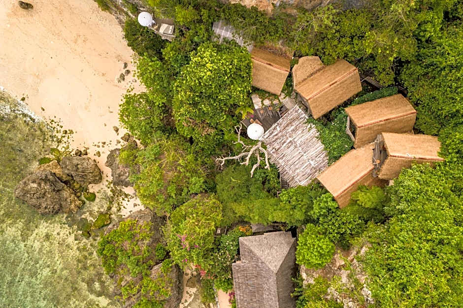 The Korowai