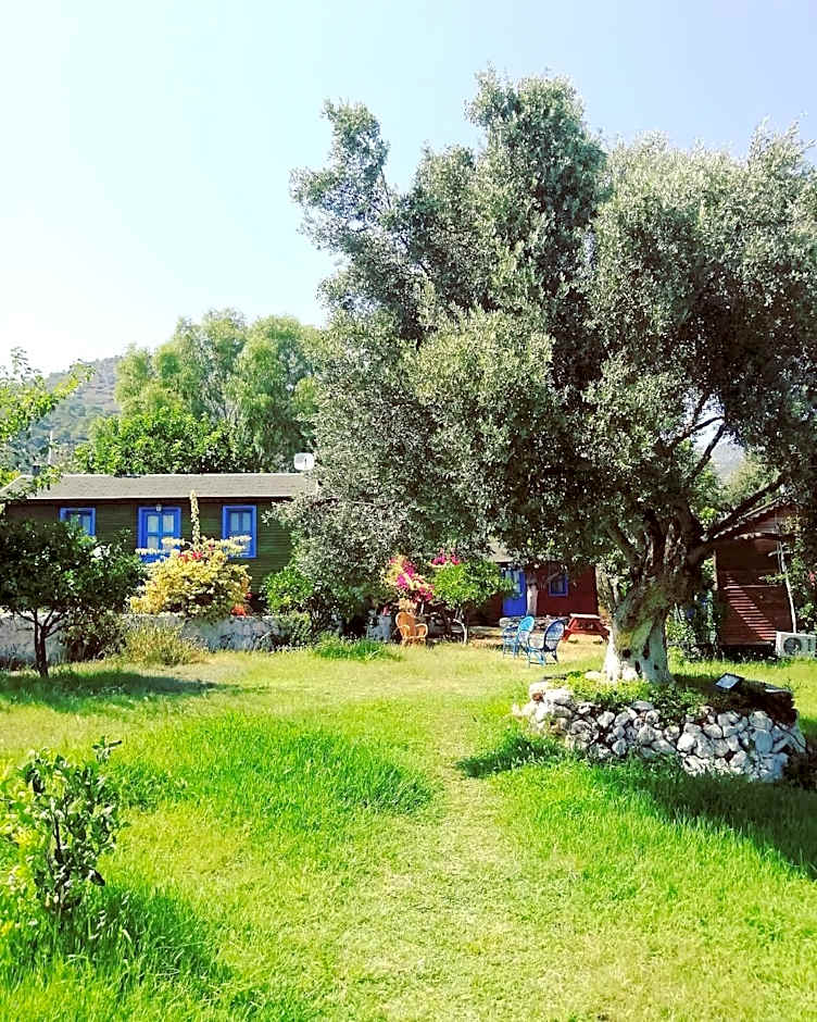Bahar Bahce Datca