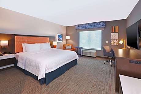 King Accessible Room W/ Roll-In Shower Ns