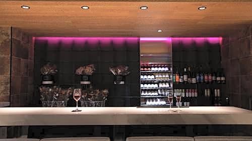 Willows Hotel Osaka Shin Imamiya - Vacation STAY 03163v