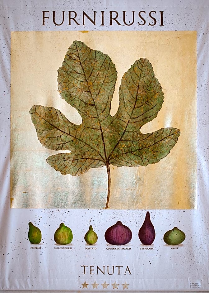 Furnirussi Tenuta
