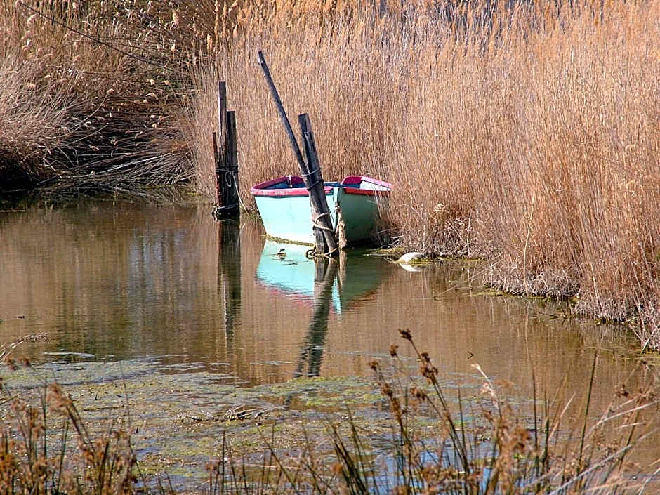 chambres d'hôtes du moulin