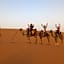 Desert Camel Trekking Camp