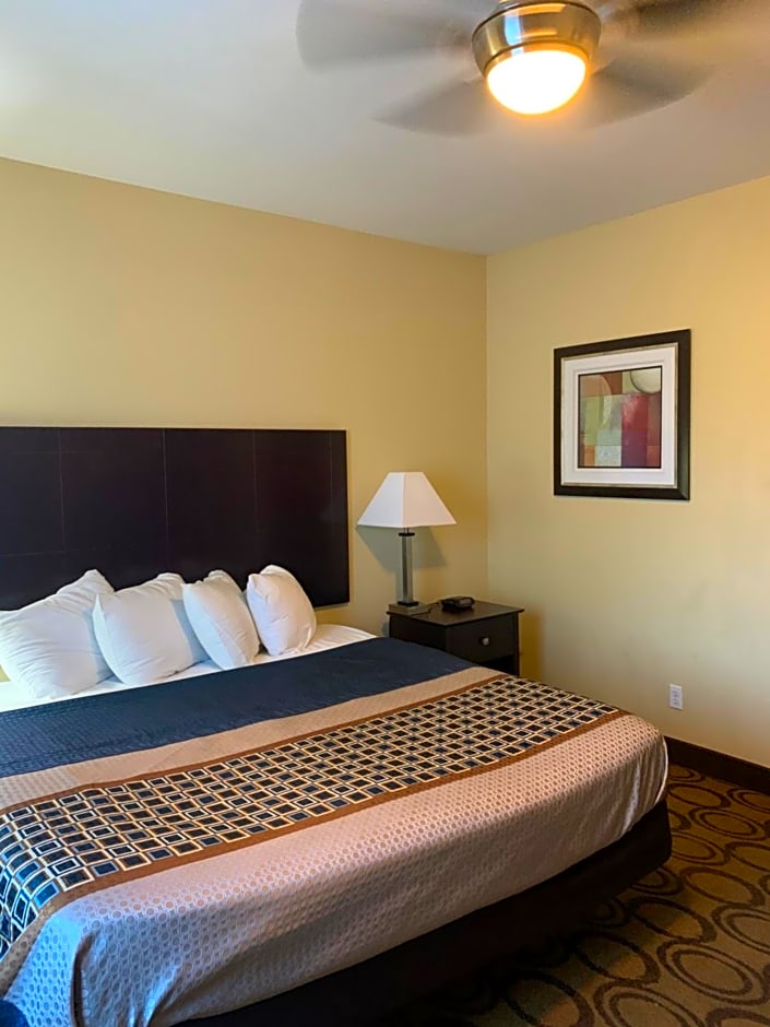 Rodeway Inn & Suites Winnfield