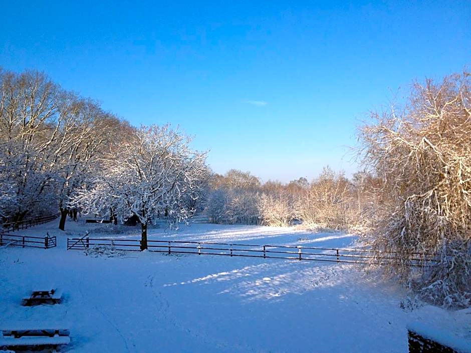 B&B Landgoed Bergerven