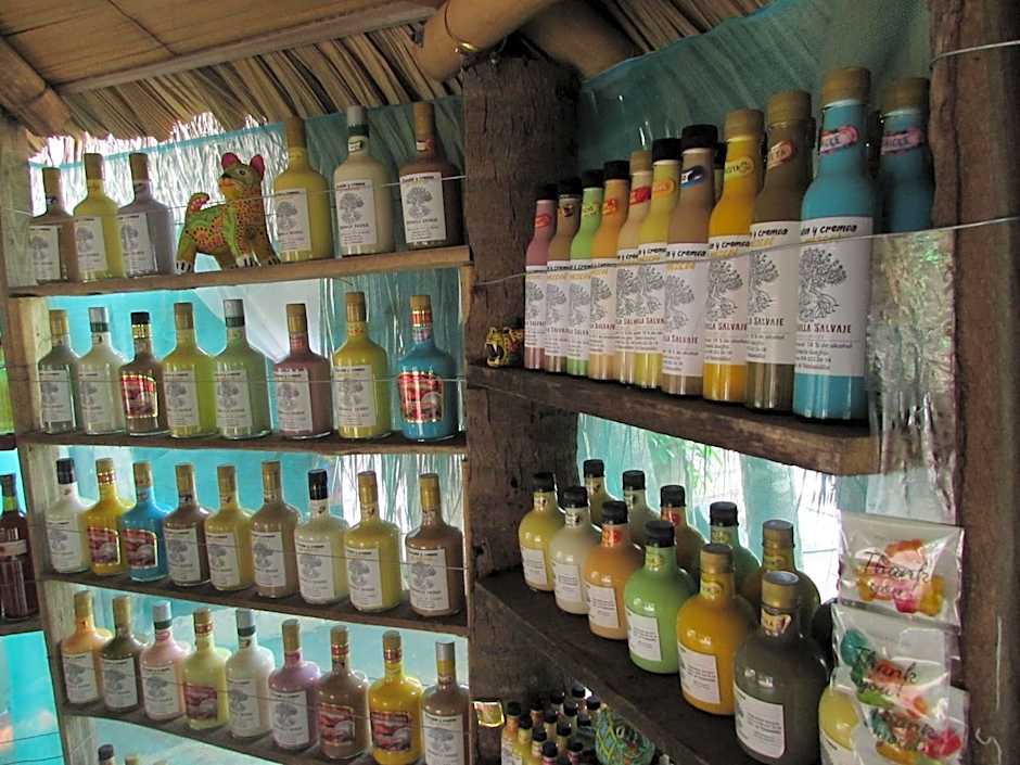 Hab #6 La Casa Del Profe Salo