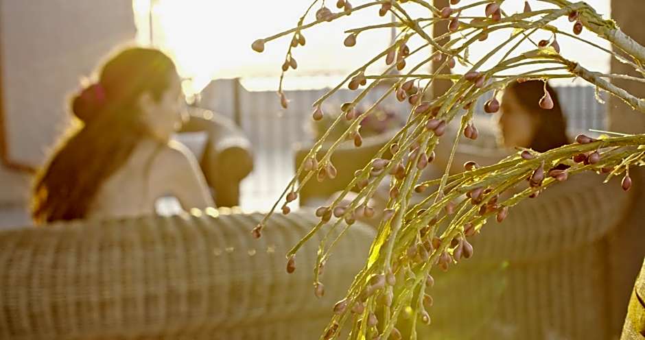 Waterlily Hotel Apartments