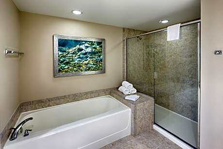 Deluxe Two Bedroom Suite, Pool View