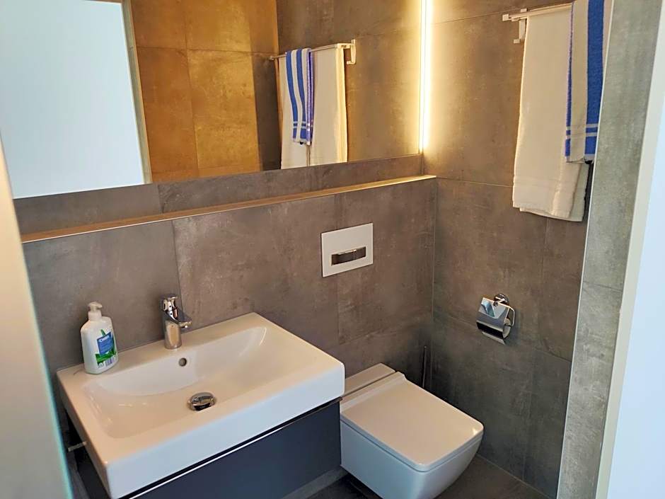 Modern ausgebauter Überseecontainer als Tiny House