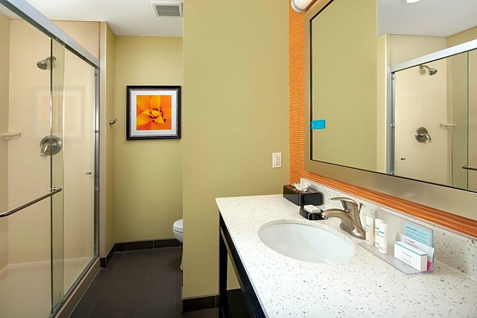 Hampton Inn & Suites El Paso/East