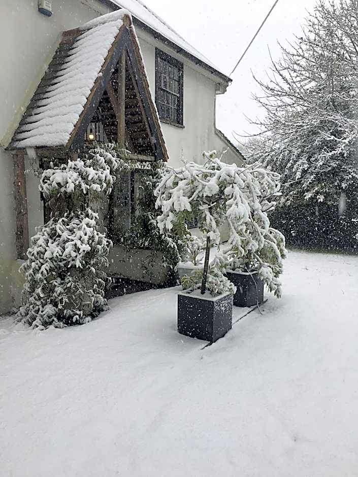 The White House