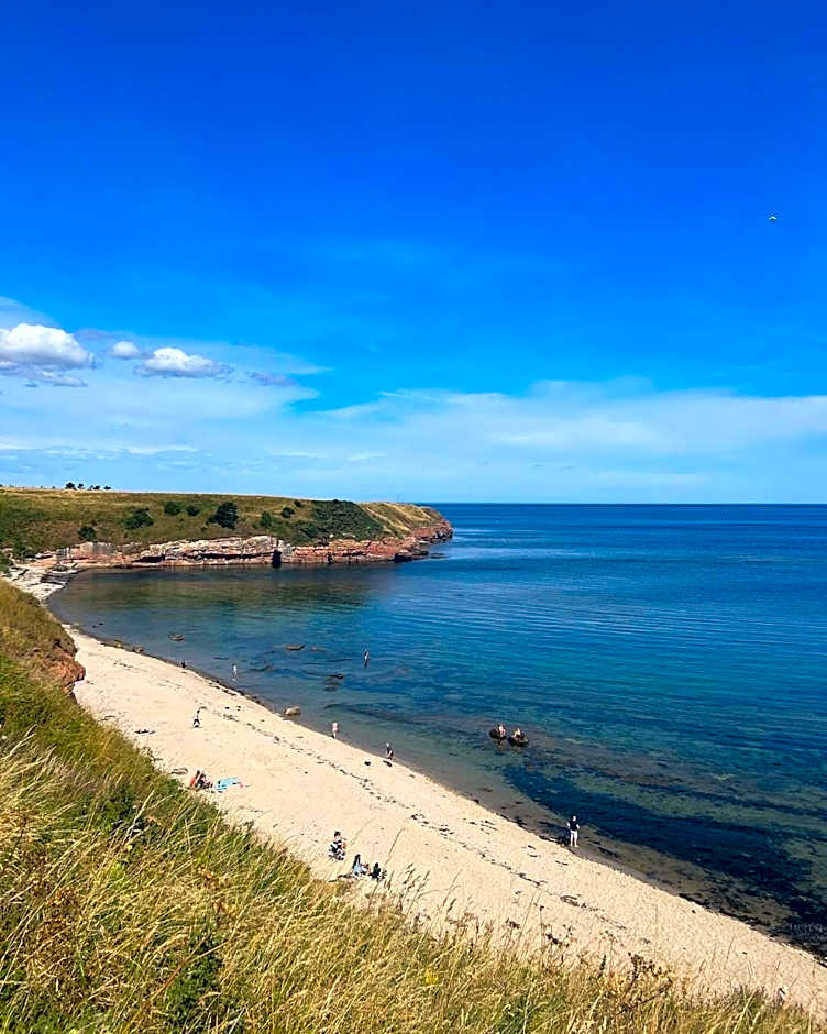 Berwick Holiday Park Haven