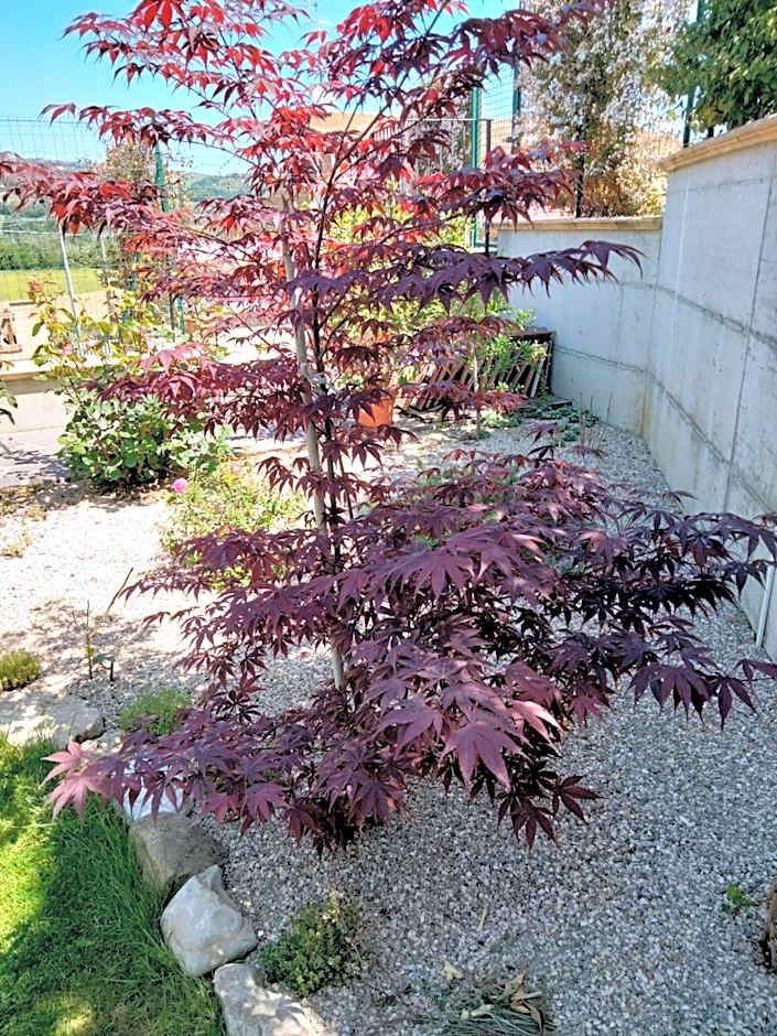 B&B La Casa di Giuliana