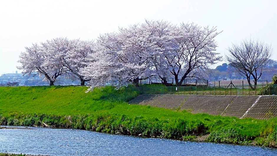 Toyoko Inn Shiki eki Higashi guchi