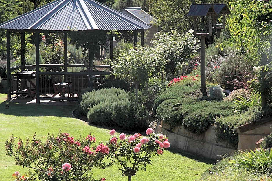 Rickaty on Blackwood