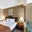 Comfort Suites Plainview