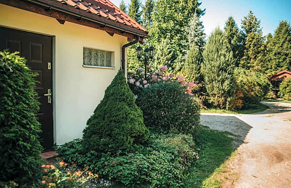 Domjana Lubiatowo